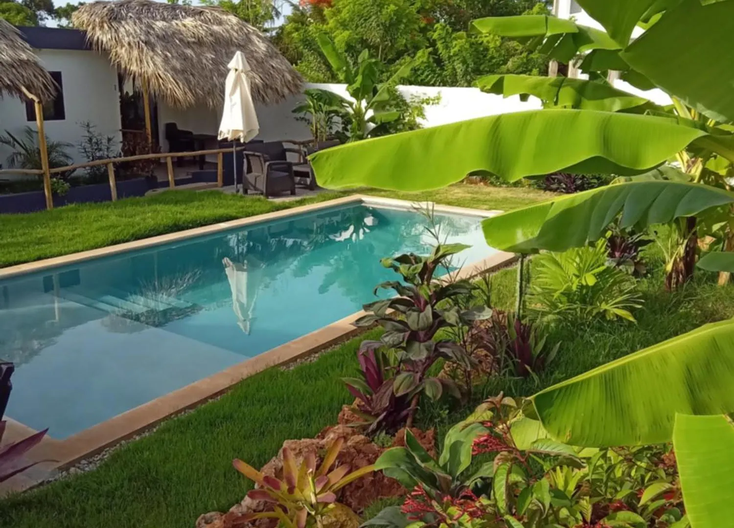 Bungalows Colibri Las Galeras Hotel