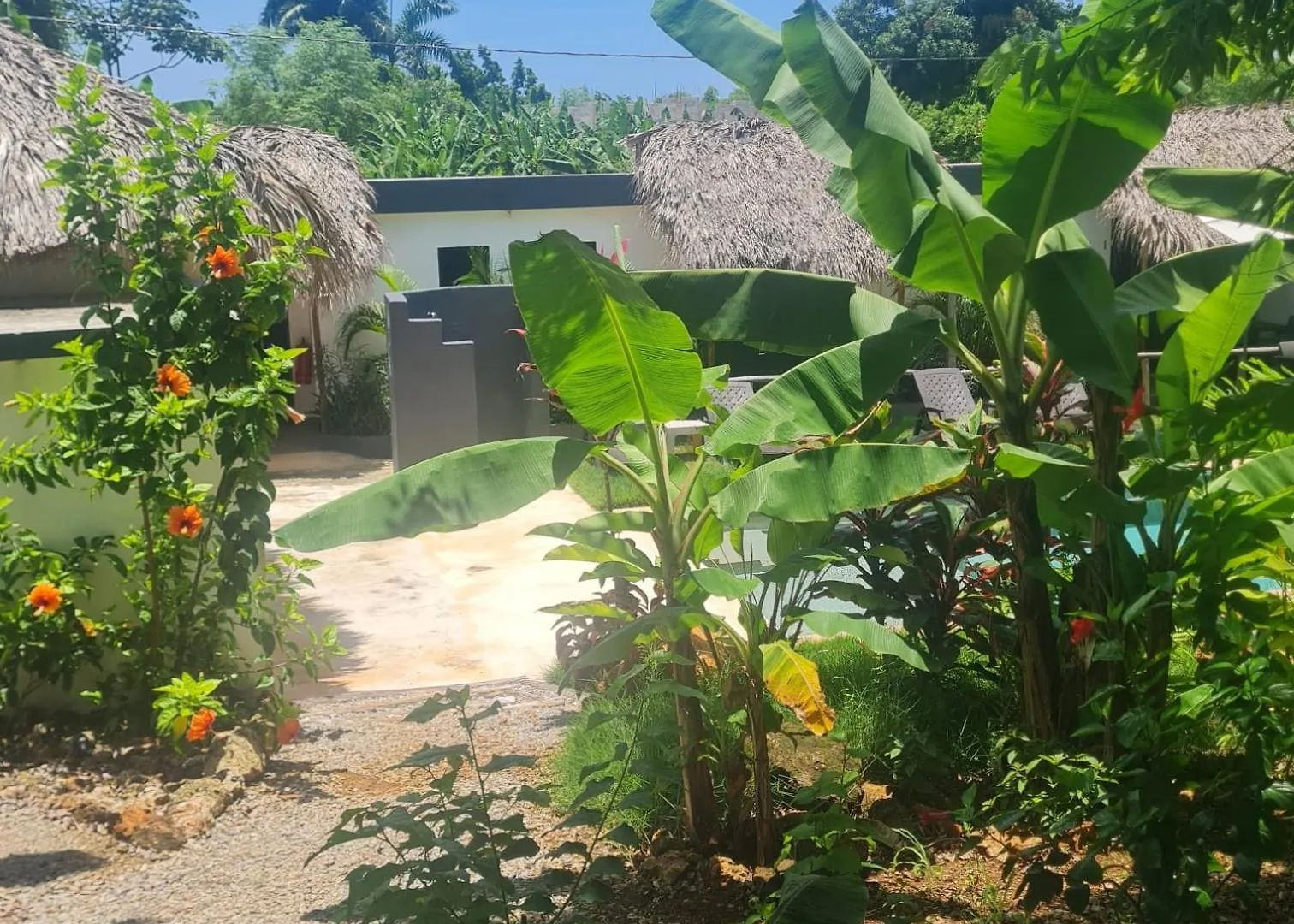 Bungalows Colibri Las Galeras 0*,