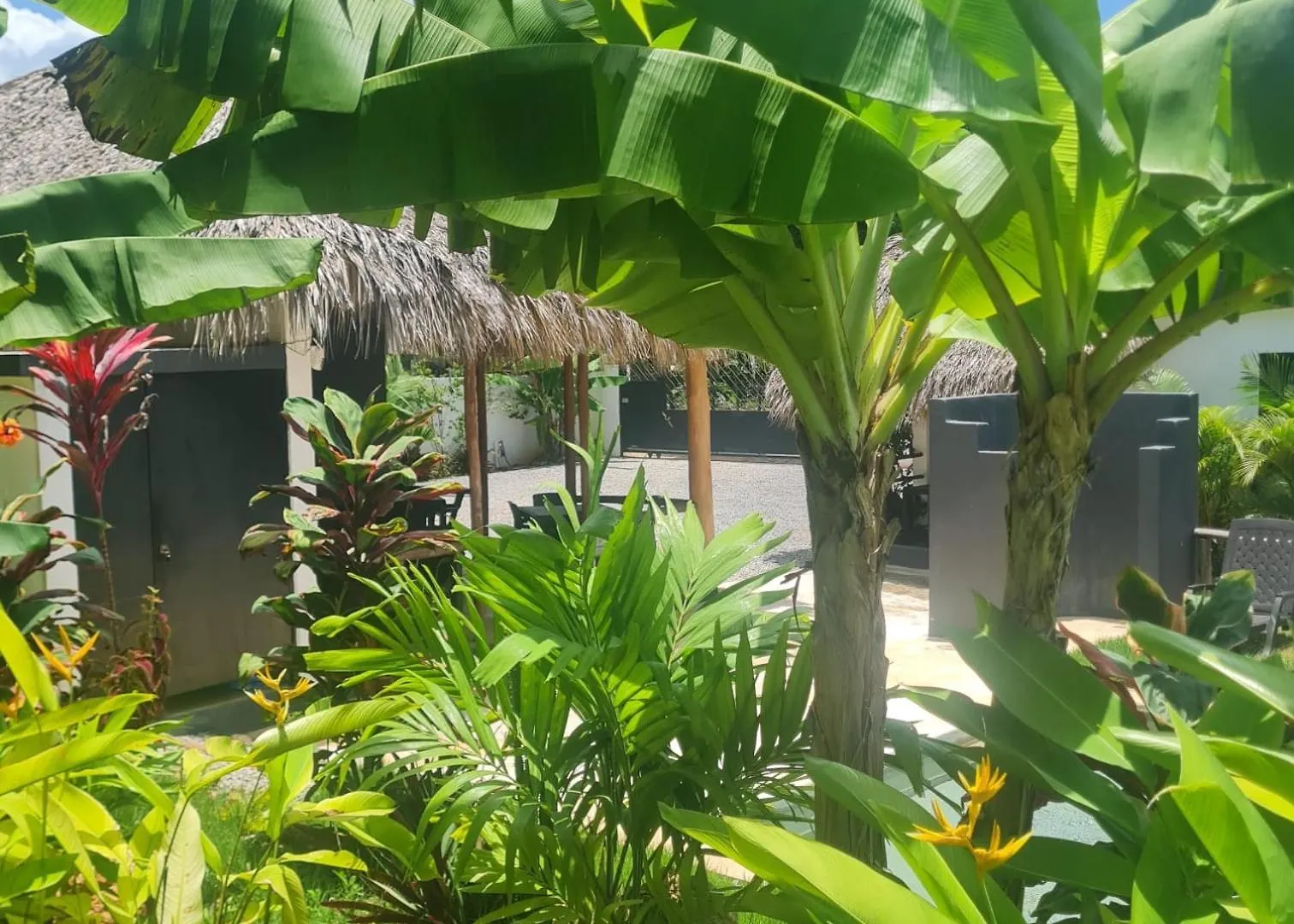 Bungalows Colibri Las Galeras Hotel