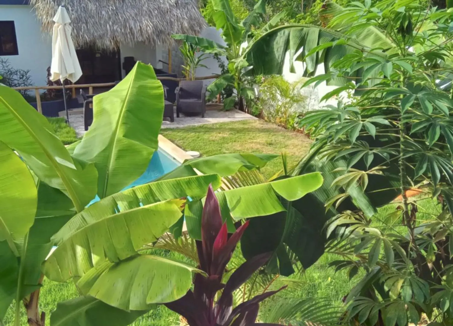 Hotel Bungalows Colibri Las Galeras République dominicaine