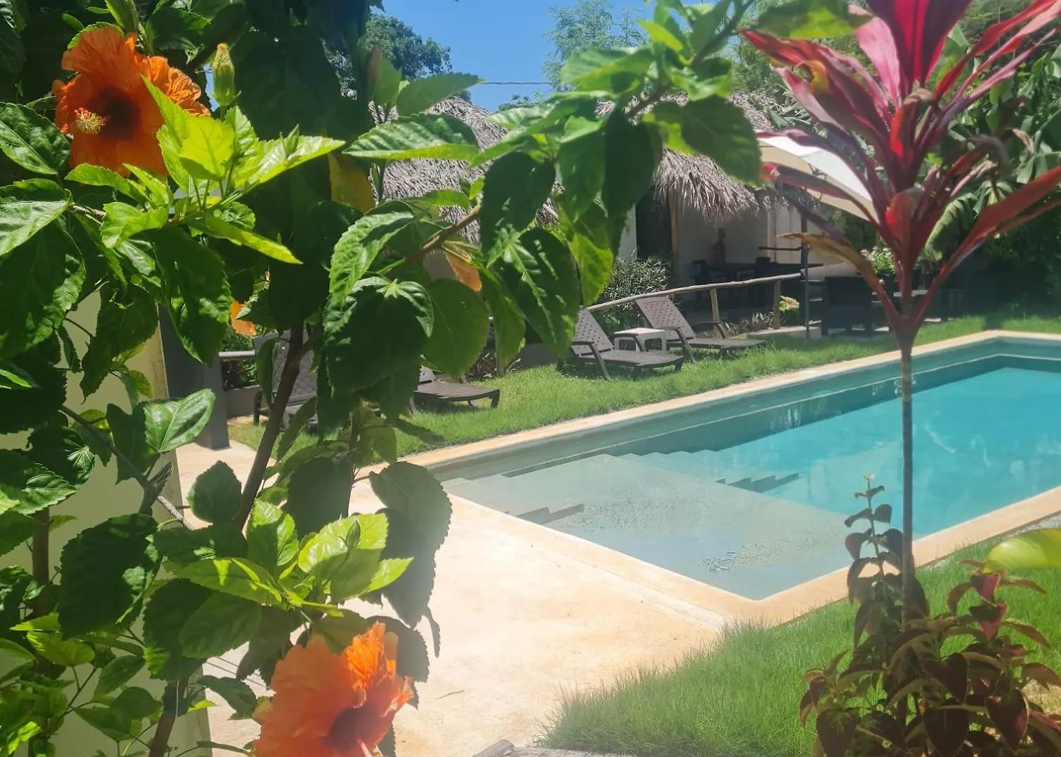 Bungalows Colibri Las Galeras 0*,